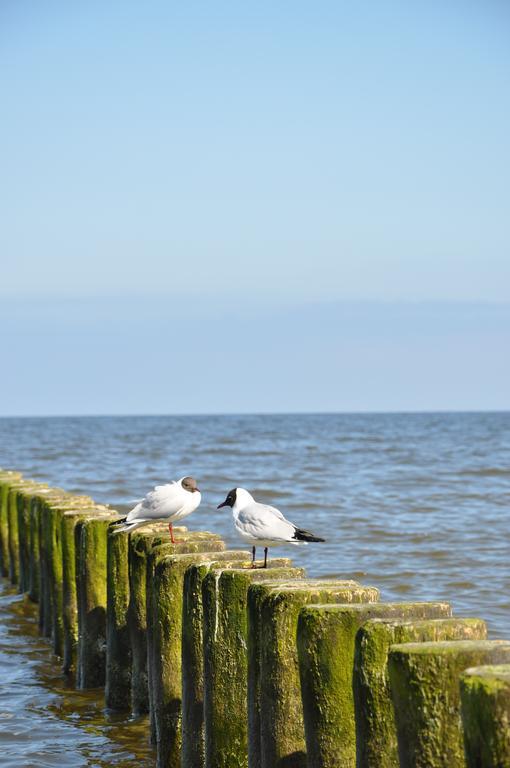 Seetelhotel Nautic Usedom Hotel & Spa Koserow Εξωτερικό φωτογραφία