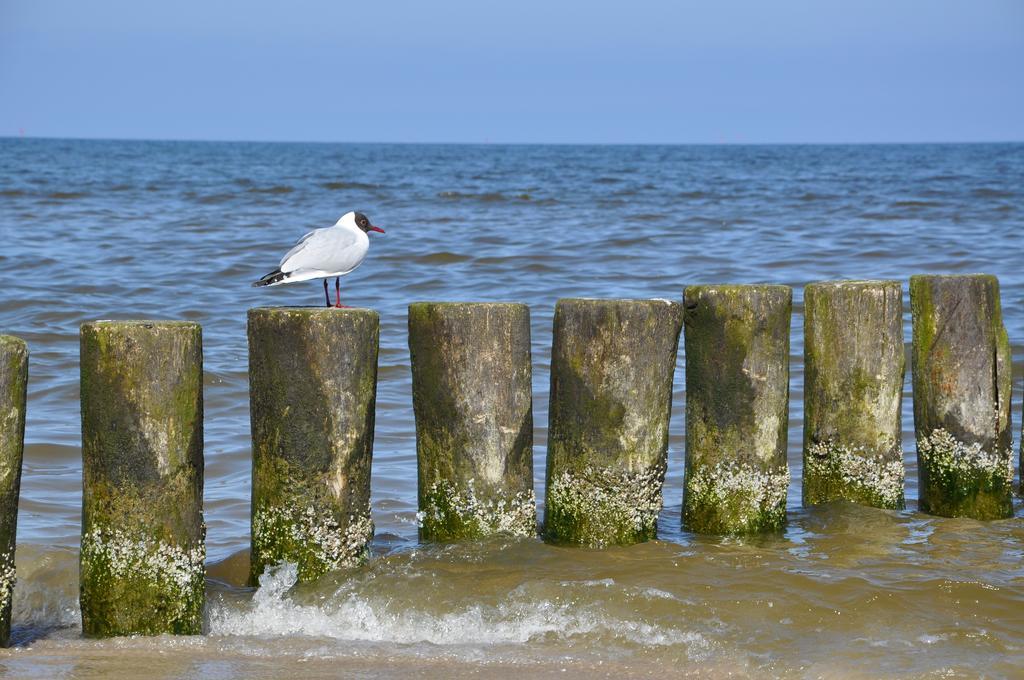 Seetelhotel Nautic Usedom Hotel & Spa Koserow Εξωτερικό φωτογραφία